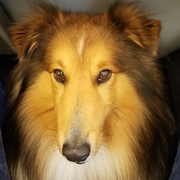 Profile Picture of Anaid Ralat (@anaid10) on Poshmark