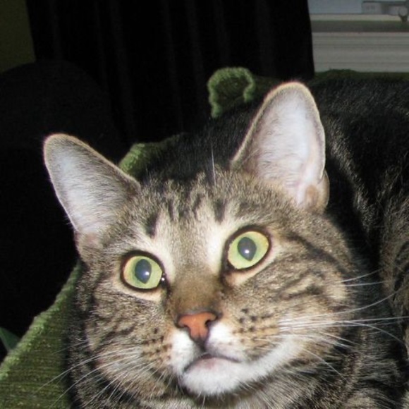 Profile Picture of Filbert Sawyer (@filbertsawyer) on Poshmark