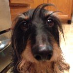 Profile Picture of Tony Panganiban (@tpanga06) on Instagram