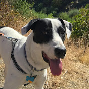 Profile Picture of Brian Oatman (@brianoatman4215) on Youtube