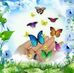 Profile Picture of Teri Barnett (@teri.barnett.1042) on Facebook