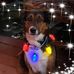 Profile Picture of Jan Howard (@jan.howard.792) on Facebook