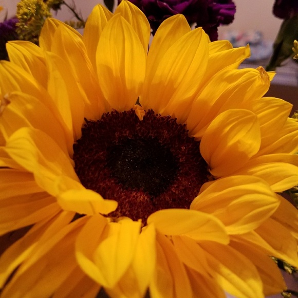 Profile Picture of Kate Sarber (@graceygirl18) on Poshmark