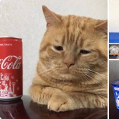 Profile Picture of Jessica Ibbotson (@JessicaIbbotso1) on Twitter