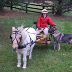 Profile Picture of Kim Nagle (@naglehaus) on Instagram