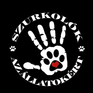 Profile Picture of user554508276198 (@szurkolokazallatokert) on Tiktok
