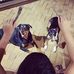 Profile Picture of Danny Tsai (@danny.tsai.549) on Facebook