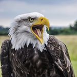 Profile Picture of Jake Wisdom (@outdoor.wisdom) on Instagram
