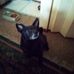 Profile Picture of Joan Rodda (@joan.rodda.79) on Facebook
