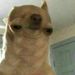 Profile Picture of Sylvia McDaniel (@mcdaniel0894) on Pinterest