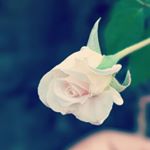 Profile Picture of Adhuri Ankahi Baatein (@adhuriankahee) on Instagram