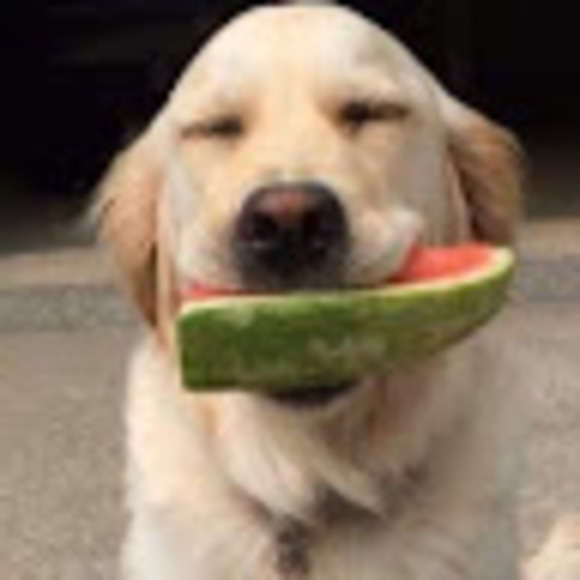 Profile Picture of Nick Koobatian (@nickkoobatian) on Poshmark