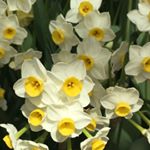 Profile Picture of Patti Heath DuPont (@pattidu60) on Instagram