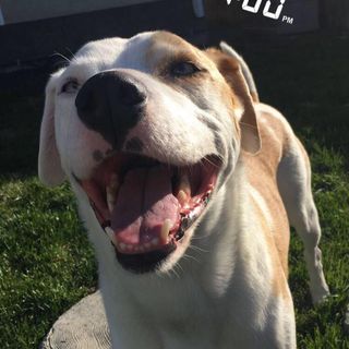 Profile Picture of Alexa Hemminger (@alexa.hemminger.18) on Facebook