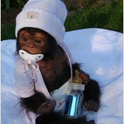 Profile Picture of Mike Visceglia (@MikeVisceglia) on Twitter