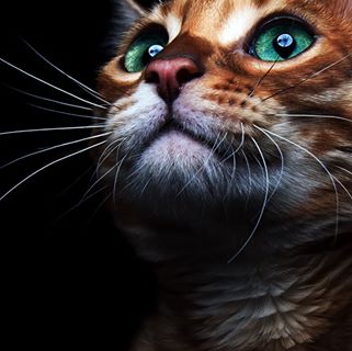 Cathbert Mwamba - Facebook Profile Picture of Cathbert Mwamba (@cathbert.mwamba) on Facebook