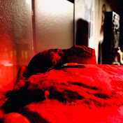 Profile Picture of Andrew Bachman (@andrewbachman8855) on Youtube