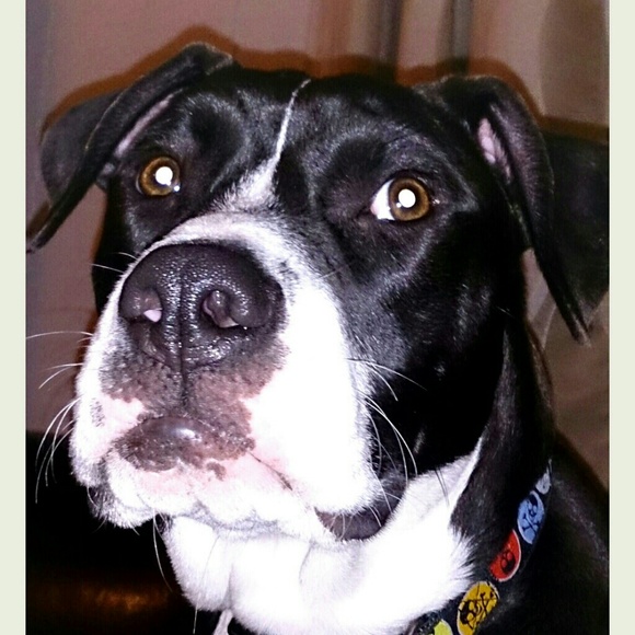 Profile Picture of Lisa Barrett (@lisabarrett5252) on Poshmark