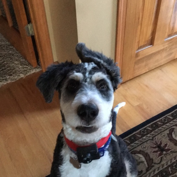 Profile Picture of Jacob Chouanard (@choua014) on Poshmark