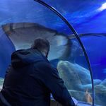 Profile Picture of Bastian Pagel (@the__pagel) on Instagram