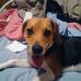 Profile Picture of Noel Heath (@noel.heath.7587) on Facebook