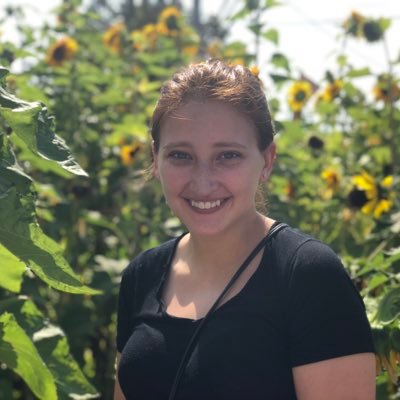 Profile Picture of Kate Curtis (@KaiteCurtis) on Twitter