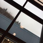 Profile Picture of Liam Bystrom (@liambystrom) on Instagram