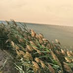 Profile Picture of Willow Zhao (@willow.zhao.617555) on Facebook