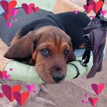 Profile Picture of Lisa Munsell (@loveydeah6) on Instagram