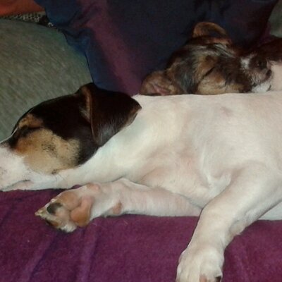 Profile Picture of Aaron Hutchings (@aaron200160) on Twitter