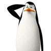 Profile Picture of Andrew Ziebarth (@andrewziebarth) on Tiktok