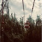 Profile Picture of Ela🌿 (@michaelaheiland) on Instagram