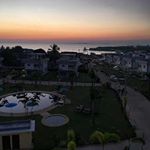 alfred_stephens - Instagram Profile Picture of alfred_stephens (@alfred_stephens) on Instagram