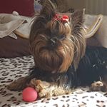 Profile Picture of sara adamczyk (@adamczyk756) on Instagram