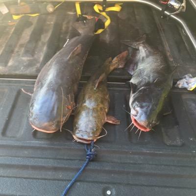 Profile Picture of Dee Horton (@deeman_17) on Twitter