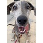 Profile Picture of Gemini “Jim” Knox (@jimjuneknox) on Instagram