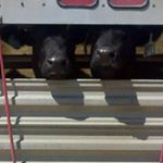 Profile Picture of brad starks (@bstarks76) on Instagram