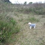 Profile Picture of carlos alberto puglia (@carlosalbertopuglia) on Instagram