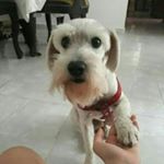 Profile Picture of lucas (@lucas_forest2) on Instagram