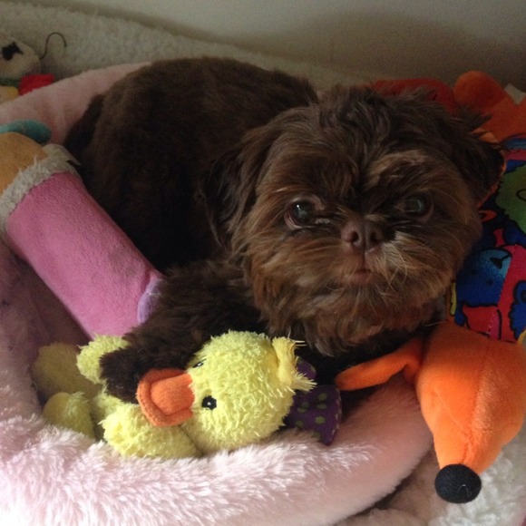 Jestina Arnold - Poshmark Profile Picture of Jestina Arnold (@jestina5) on Poshmark