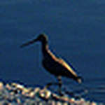 Profile Picture of SO PHOTO (@SO PHOTO) on Flickr