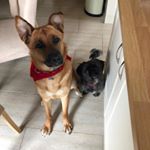 Profile Picture of Reggie And Mickey Harrison ❤️ (@regandmick_) on Instagram
