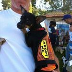 Profile Picture of gary gustafson (@garl1ducks.gg) on Instagram