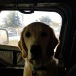 Profile Picture of Michael Fleigle (@fleg77) on Instagram