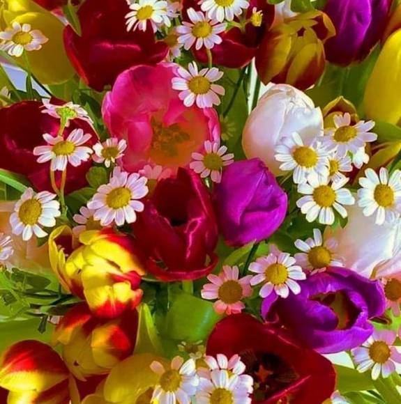 Profile Picture of Tisha Fennell-perry (@tishafennell477) on Poshmark