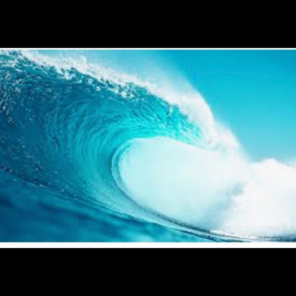 Profile Picture of Sandi Rodoni (@sandirodoni) on Poshmark