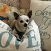 Profile Picture of Bertha Cooper (@bertha.cooper.71) on Facebook