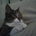 Profile Picture of Gino Panza (@gino.panza.750) on Facebook