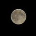 Profile Picture of Adam Špindler (@adampindler) on Pinterest