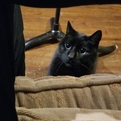 Pete Feltman - Twitter Profile Picture of Pete Feltman (@petefeltman) on Twitter